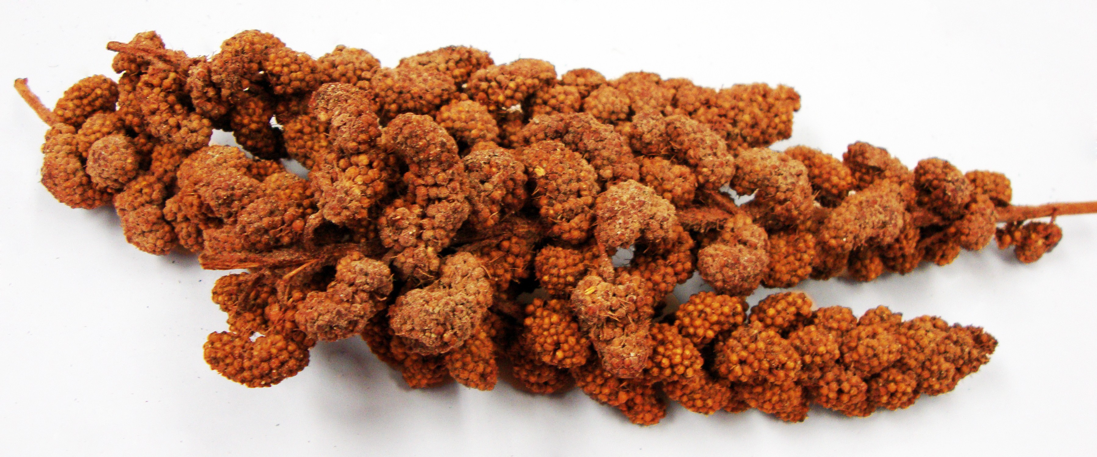 Honey/ Calcium Spray Millet FM Browns 4pc